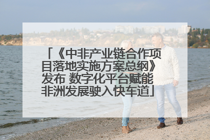 《中非产业链合作项目落地实施方案总纲》发布 数字化平台赋能非洲发展驶入快车道