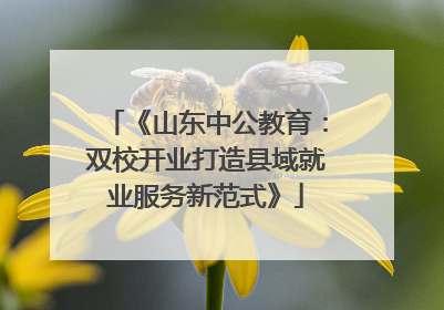 《山东中公教育：双校开业打造县域就业服务新范式》