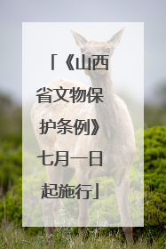 《山西省文物保护条例》七月一日起施行