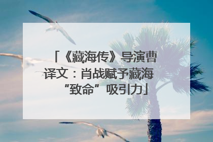 《藏海传》导演曹译文：肖战赋予藏海“致命”吸引力