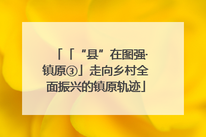 「“县”在图强·镇原③」走向乡村全面振兴的镇原轨迹