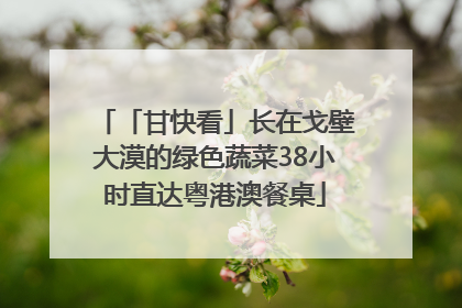 「甘快看」长在戈壁大漠的绿色蔬菜38小时直达粤港澳餐桌