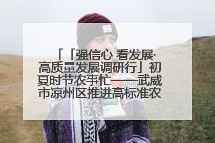 「强信心 看发展·高质量发展调研行」初夏时节农事忙——武威市凉州区推进高标准农田建设见闻