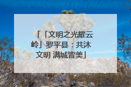 「文明之光耀云岭」罗平县：共沐文明 满城皆美