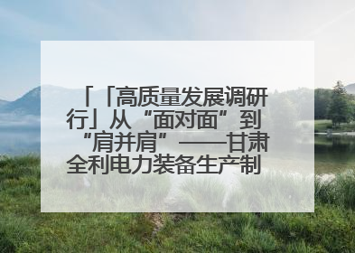 「高质量发展调研行」从“面对面”到“肩并肩”——甘肃全利电力装备生产制造项目一线见闻