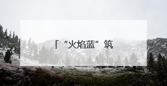“火焰蓝”筑起“防汛墙”
