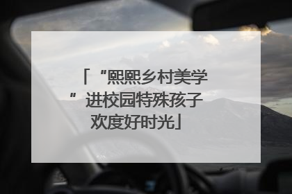 “熙熙乡村美学”进校园特殊孩子欢度好时光