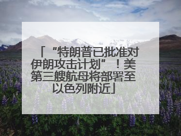 “特朗普已批准对伊朗攻击计划”！美第三艘航母将部署至以色列附近