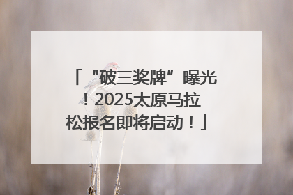 “破三奖牌”曝光！2025太原马拉松报名即将启动！