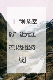 “种质密码”让元江芒果甜蜜持续
