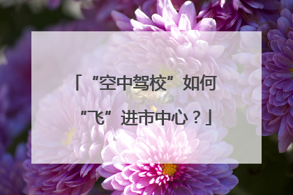 “空中驾校”如何“飞”进市中心？