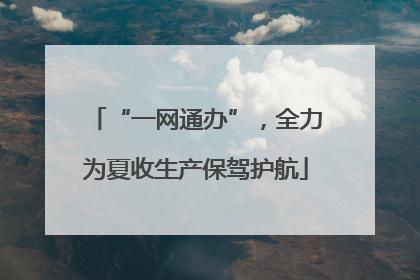“一网通办”，全力为夏收生产保驾护航
