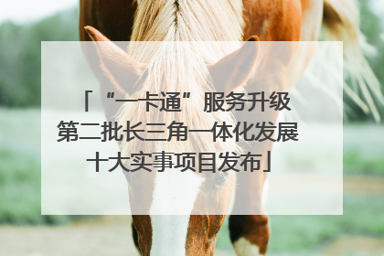 “一卡通”服务升级 第二批长三角一体化发展十大实事项目发布