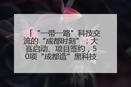 “一带一路”科技交流的“成都时刻”：大赛启动、项目签约，50项“成都造”黑科技吸引多国客商