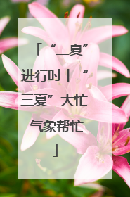 “三夏”进行时丨“三夏”大忙 气象帮忙