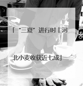 “三夏”进行时丨河北小麦收获近七成