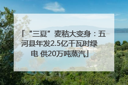 “三夏”麦秸大变身：五河县年发2.5亿千瓦时绿电 供20万吨蒸汽