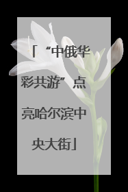 “中俄华彩共游”点亮哈尔滨中央大街