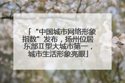 “中国城市网络形象指数”发布，扬州位居东部Ⅱ型大城市第一，城市生活形象亮眼