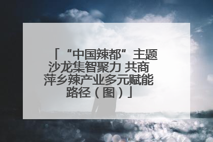 “中国辣都”主题沙龙集智聚力 共商萍乡辣产业多元赋能路径（图）
