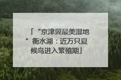 “京津冀最美湿地”衡水湖：近万只夏候鸟进入繁殖期