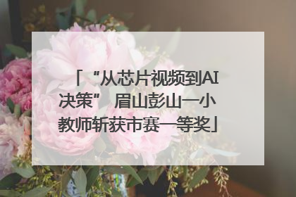 “从芯片视频到AI决策” 眉山彭山一小教师斩获市赛一等奖