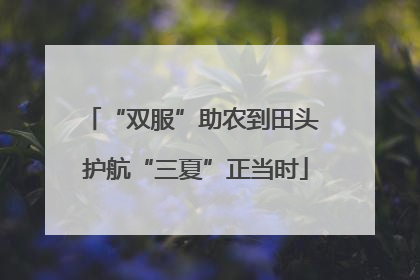“双服”助农到田头 护航“三夏”正当时