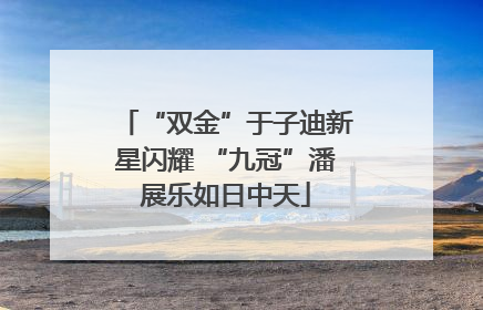 “双金”于子迪新星闪耀 “九冠”潘展乐如日中天