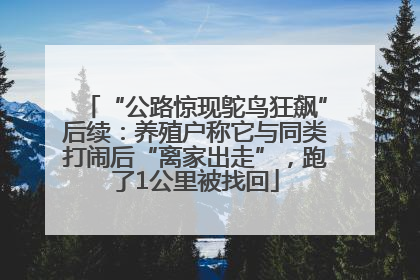 “公路惊现鸵鸟狂飙”后续：养殖户称它与同类打闹后“离家出走”，跑了1公里被找回