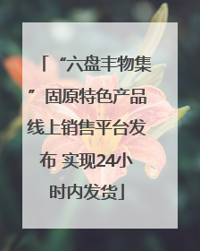 “六盘丰物集”固原特色产品线上销售平台发布 实现24小时内发货