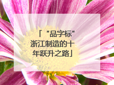 “品字标”浙江制造的十年跃升之路