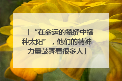 “在命运的裂缝中播种太阳”，他们的精神力量鼓舞着很多人