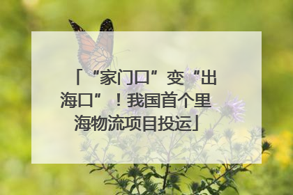 “家门口”变“出海口”！我国首个里海物流项目投运
