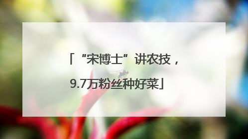 “宋博士”讲农技，9.7万粉丝种好菜