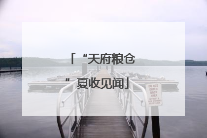 “天府粮仓”夏收见闻