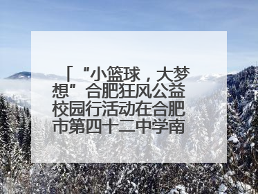 “小篮球，大梦想”合肥狂风公益校园行活动在合肥市第四十二中学南城分校圆满落幕