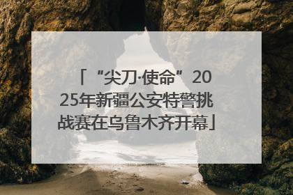“尖刀·使命”2025年新疆公安特警挑战赛在乌鲁木齐开幕