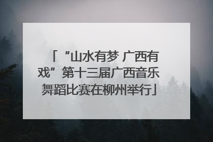 “山水有梦 广西有戏”第十三届广西音乐舞蹈比赛在柳州举行