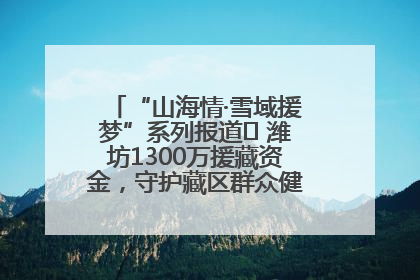 “山海情·雪域援梦”系列报道⑪ 潍坊1300万援藏资金，守护藏区群众健康“最后一公里”
