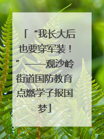 “我长大后也要穿军装！”——观沙岭街道国防教育点燃学子报国梦