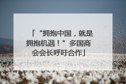“拥抱中国，就是拥抱机遇！”多国商会会长呼吁合作
