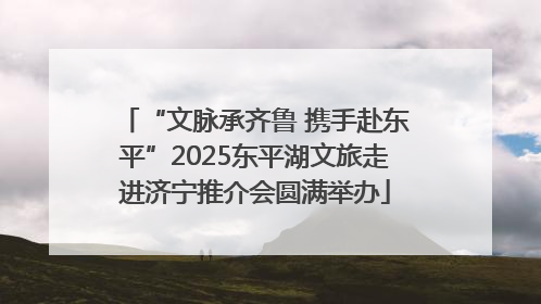 “文脉承齐鲁 携手赴东平”2025东平湖文旅走进济宁推介会圆满举办