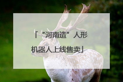 “河南造”人形机器人上线售卖