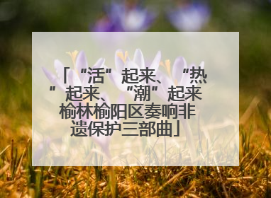 “活”起来、“热”起来、“潮”起来 榆林榆阳区奏响非遗保护三部曲