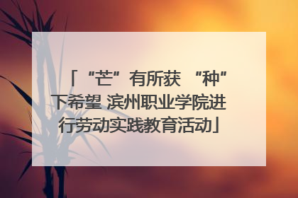 “芒”有所获 “种”下希望 滨州职业学院进行劳动实践教育活动