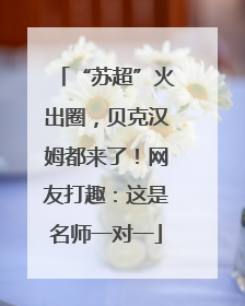“苏超”火出圈，贝克汉姆都来了！网友打趣：这是名师一对一