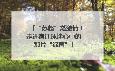 “苏超”燃激情！走进宿迁球迷心中的那片“绿茵”