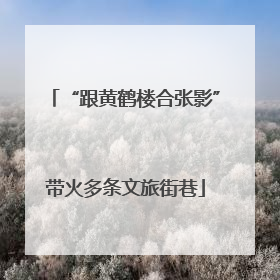 “跟黄鹤楼合张影”带火多条文旅街巷