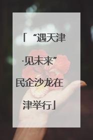 “遇天津·见未来”民企沙龙在津举行