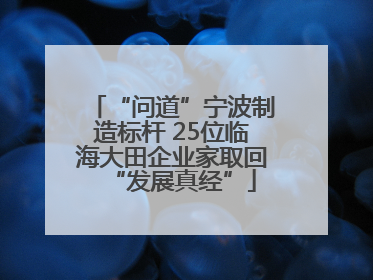 “问道”宁波制造标杆 25位临海大田企业家取回“发展真经”
